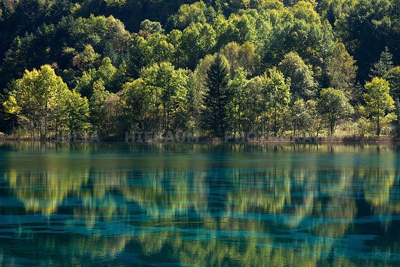 Nature Scenery in Jiu Zhai Gou, China
