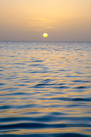 Ocean's Whisper