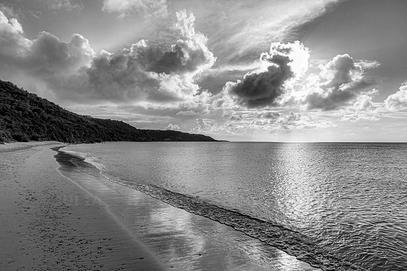 The Silver Tide
