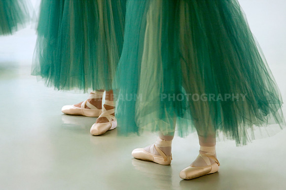 Performing Ballerinas in Green Tutus