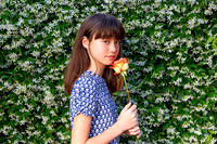 The Rose