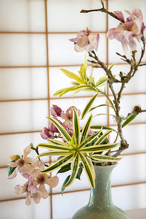 Ikebana flower arrangement