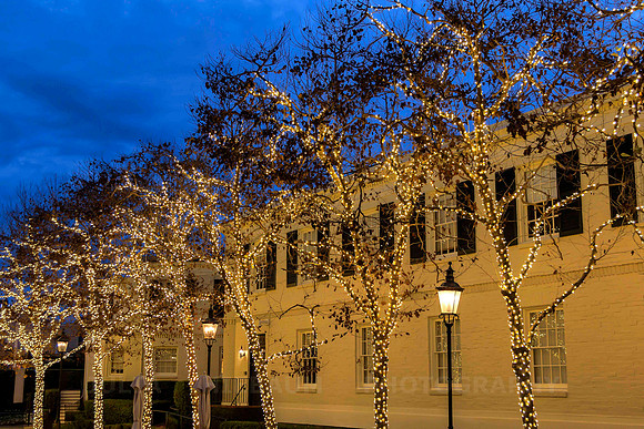 Winter Promenade