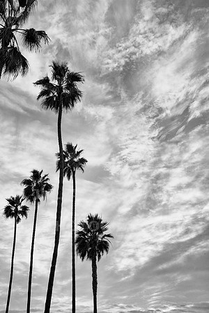 Reaching for the sky