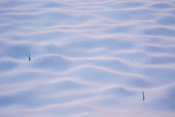 Snow Dunes in Yosemite, California