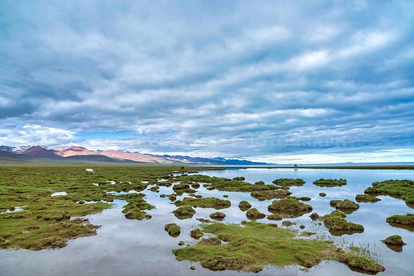 Scenic view at Namtso Lake  in Tibet, China