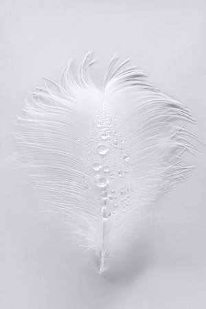 Weightless