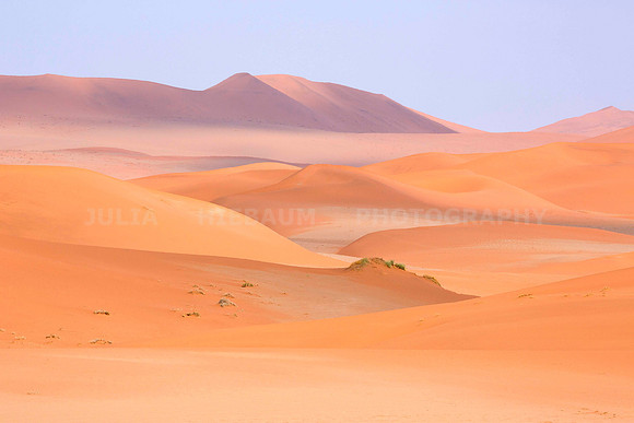 The Namib desert in Namibia, Africa