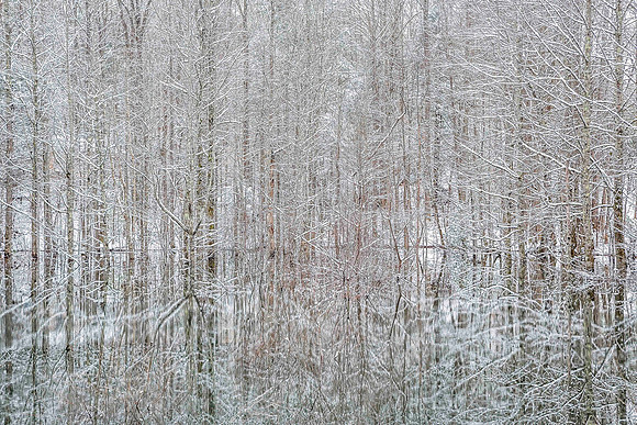 Winter reflections in Greenville, North Carolina