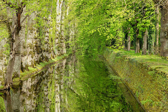 Château de Chenonceau mirrored trees, Loire Valley, France