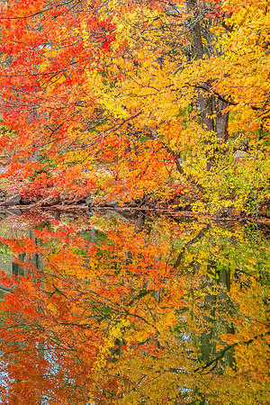 Fall brilliance in Bar Harbor, Maine