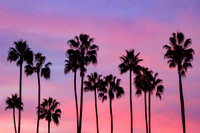 Twilight Glow