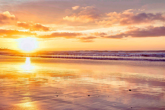Golden Haze