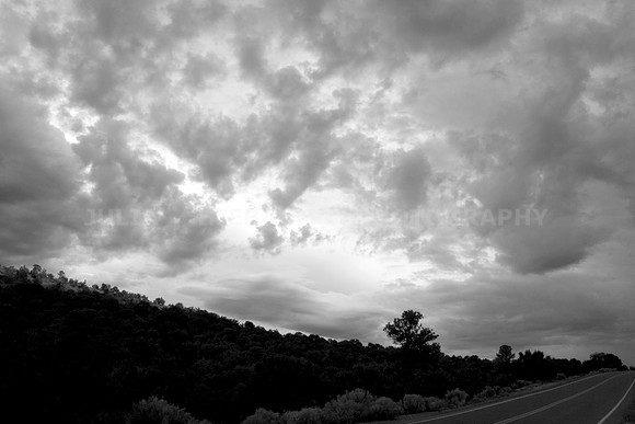 New Mexico Landscape