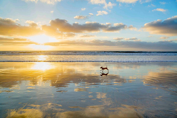 Golden light in La Jolla Shores beach, California