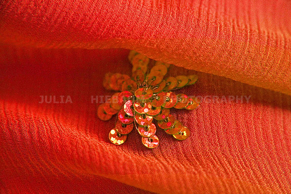 Sequins on Silk