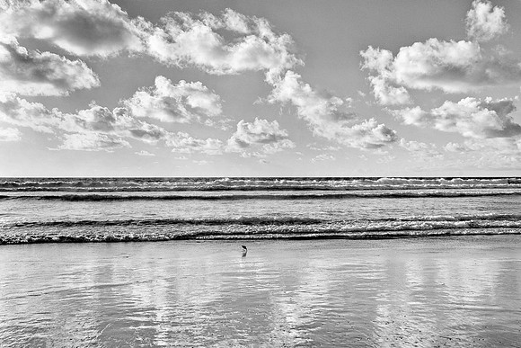 Cloudy afternoon at Torrey Pines beach, San Diego, California